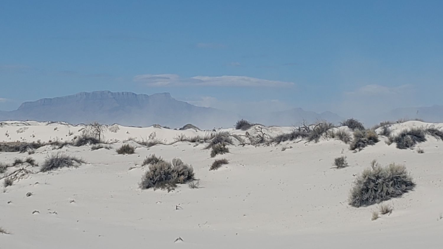 White Sands Playa and Dune Life Trails 